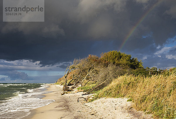 Deutschland  Mecklenburg-Vorpommern  Regenwolken und Regenbogen über Ostseestrand in Born auf dem Darss