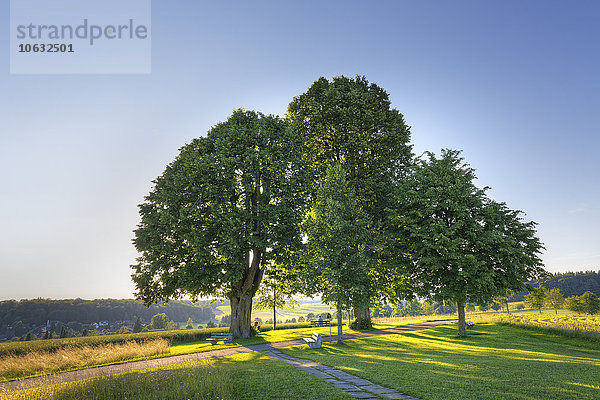 Deutschland  Baden-Württemberg  Linden bei Heiligenberg