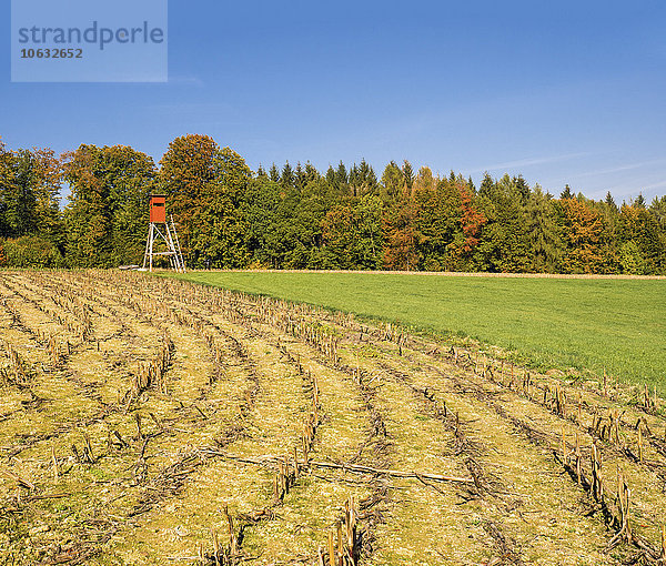 Deutschland  Baden-Württemberg  Nassachtal  Hochsitz im Herbst