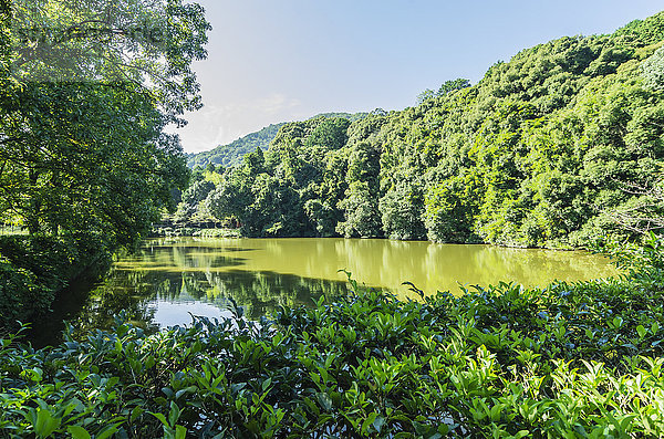 Japan  Honshu  Kyoto  Arashiyama Bambuswald und See