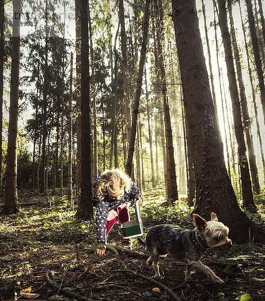 Kleines Mädchen beim Herbstlaubsammeln im Wald