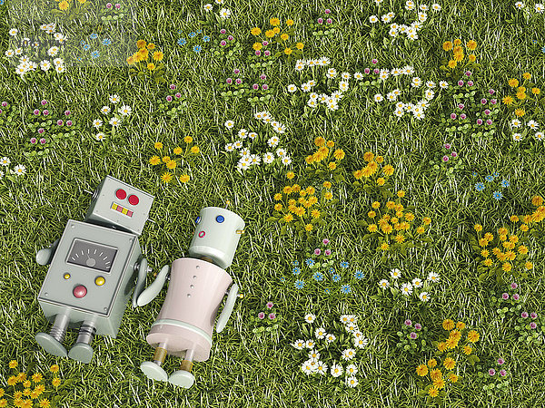 Männlicher und weiblicher Roboter auf Blumenwiese liegend  3D-Rendering