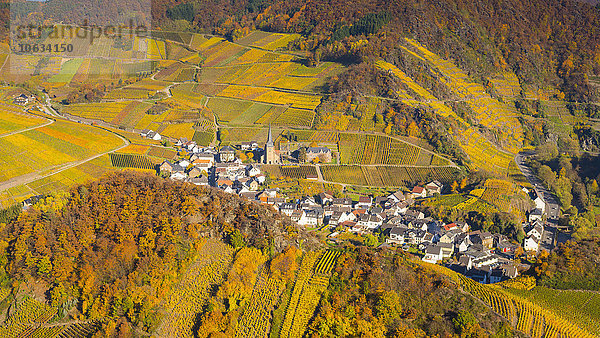 Deutschland  Rheinland-Pfalz  Eifel  Ahrtal  Mayschoss  Weinberg im Herbst