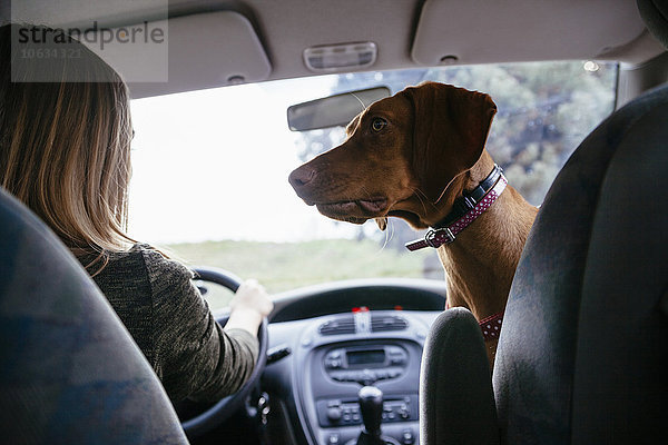 Hund schaut seinen Besitzer im Auto an