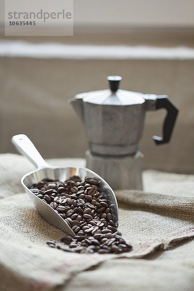 Schaufel voll Kaffeebohnen mit Kaffeemaschine auf Sack