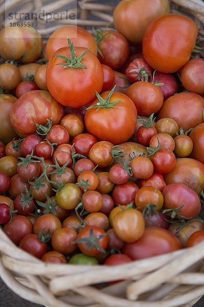 Hochwinkelansicht von frischen Tomaten im Korb