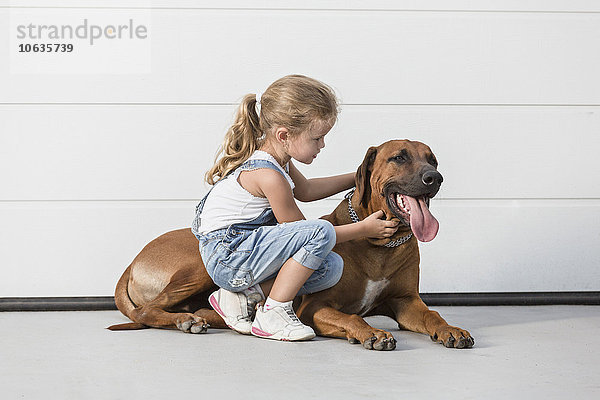 Mädchen streichelnder Hund gegen die weiße Wand