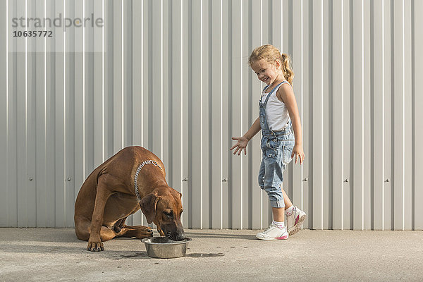 Fröhliches Mädchen schaut auf Hundefutter im Container gegen die Wellwand