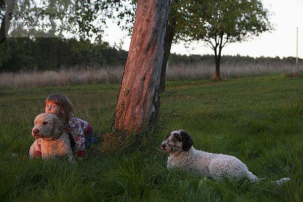 Mädchen sitzend mit Hunden auf grasbewachsenem Feld