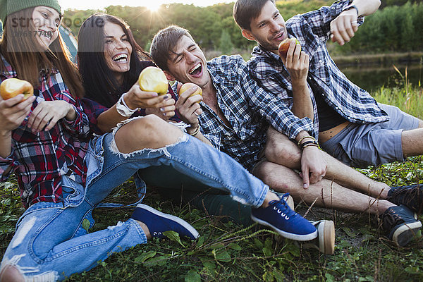 Glückliche Freunde  die auf einander fallen  während sie im Wald Apfel essen.