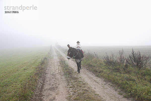 Mädchen reitend Esel auf der Straße inmitten des Feldes bei nebligem Wetter