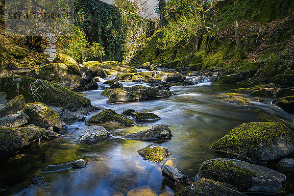 Fluss fließt durch moosige Felsen