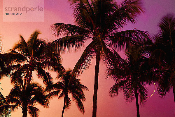Blick auf die Silhouette von Palmen gegen den Himmel bei Sonnenuntergang
