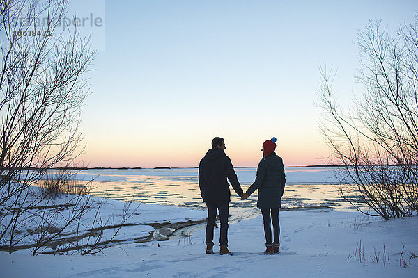 Durchgehende Rückansicht des jungen Paares mit den Händen auf dem schneebedeckten Feld