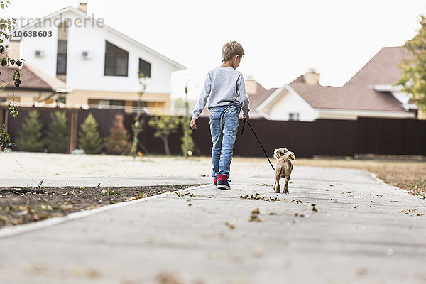 Rückansicht des Jungen beim Spaziergang mit Hund auf dem Fußweg