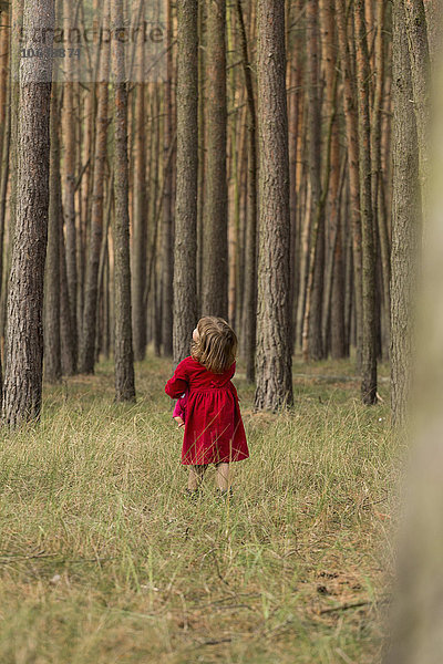 Rückansicht des Mädchens im Wald
