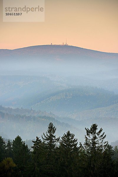 Sicht auf Wälder und Täler im Harz zum Brocken  Morgenstimmung  bei Wernigerode  Sachsen-Anhalt  Deutschland  Europa