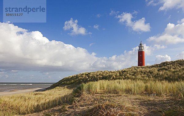 Leuchtturm Eierland mit Dünen  De Cocksdorp  Nordsee  Texel  Westfriesische Inseln  Provinz Nordholland  Holland  Niederlande  Europa