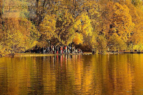 Herbst am Kleinhesseloher See  Englischer Garten  München  Bayern  Deutschland  Europa