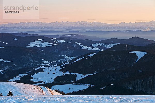 Ausblick vom Belchen im Winter auf die Schweizer Alpen  Alpenkette  Schwarzwald  Baden-Württemberg  Deutschland  Europa