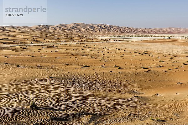 Sanddünen in der Wüste bei Al Hamaìm  Leeres Viertel  Empty Quarter  Sandwüste Rub al-Chali  auch Rub al-Khali  Vereinigte Arabische Emirate  Asien