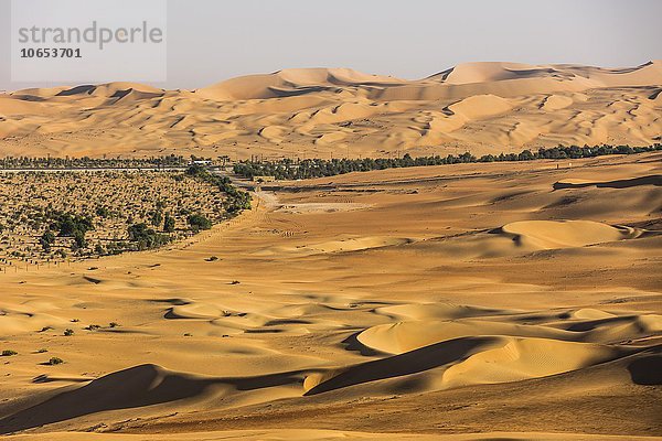 Künstlich gepflanzter Wald in der Wüste bei Al Hamaìm  Leeres Viertel  Empty Quarter  Sandwüste Rub al-Chali  auch Rub al-Khali  Vereinigte Arabische Emirate  Asien