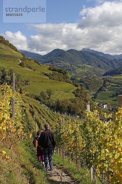 Wanderer am Keschtnweg bei Pardell  Eisacktal  Südtirol  Alto Adige  Italien  Europa