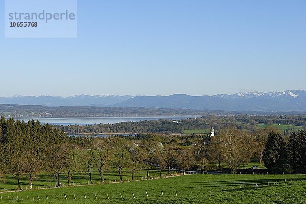 Starnberger See vor den Alpen von der Ilkahöhe gesehen  Tutzing  Fünfseenland  Oberbayern  Bayern  Deutschland  Europa