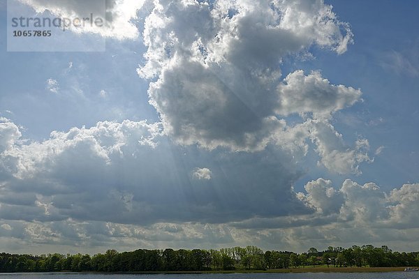 Wolken über dem Vilzsee  bei Mirow  Mecklenburger Seenplatte  Mecklenburg-Vorpommern  Deutschland  Europa