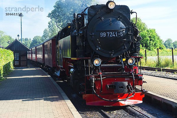 Brockenbahn bei der Ankunft im Bahnhof  Wernigerode  Harz  Sachsen-Anhalt  Deutschland  Europa