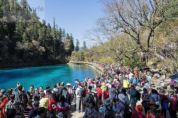Five Color Pool  auch Five Color Pond  Menschenmenge auf einer Fußgängerbrücke  Jiuzhaigou-Nationalpark  Provinz Sichuan  China  Asien