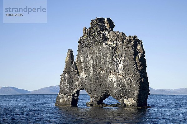Hvitserkur  markanter Basaltfelsen im Meer  Ostküste der Halbinsel Vatsnes  Island  Europa