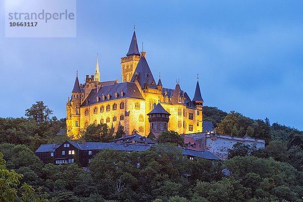 Schloss Wernigerode in der Abenddämmerung  Wernigerode  Harz  Sachsen-Anhalt  Deutschland  Europa