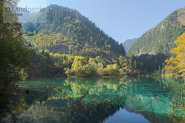 Colorful Lake  Jiuzhaigou-Nationalpark  Provinz Sichuan  China  Asien