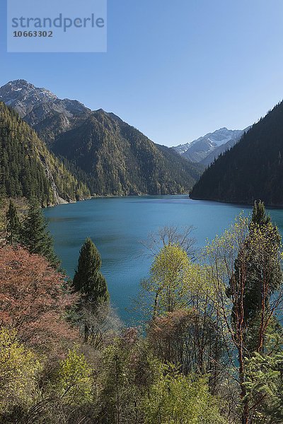 Longsee  auch Drachensee  Jiuzhaigou-Nationalpark  Provinz Sichuan  China  Asien