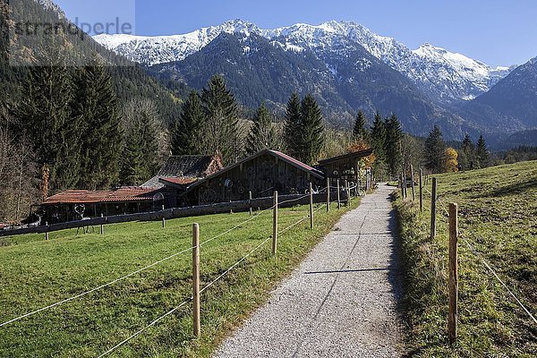 Wanderweg und Kutschenmuseum Hinterstein  hinten die Allgäuer Alpen  Hinterstein  Allgäu  Bayern  Deutschland  Europa