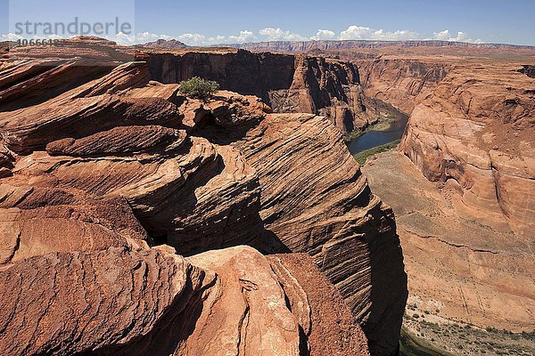 Erodierte Felsformationen am Horseshoe Bend  Page  Arizona  USA  Nordamerika