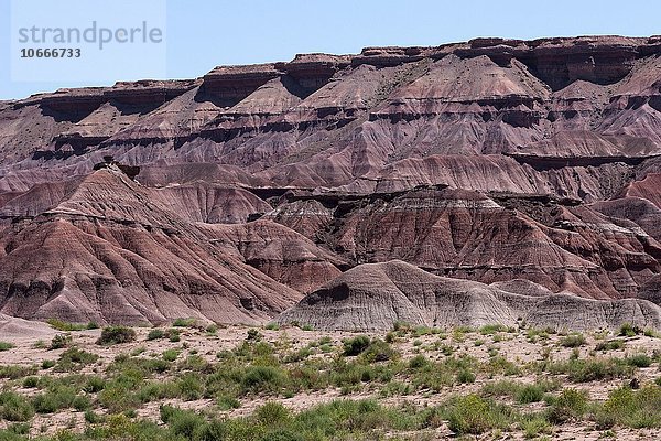 Rote Felsen  Gesteinsformation  Erosion  am U.S. Highway 89  bei Cameron  Arizona  USA  Nordamerika