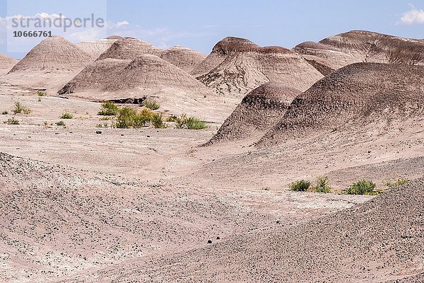 Karge Hügel  Erosionslandschaft am U.S. Highway 89  bei Cameron  Arizona  USA  Nordamerika