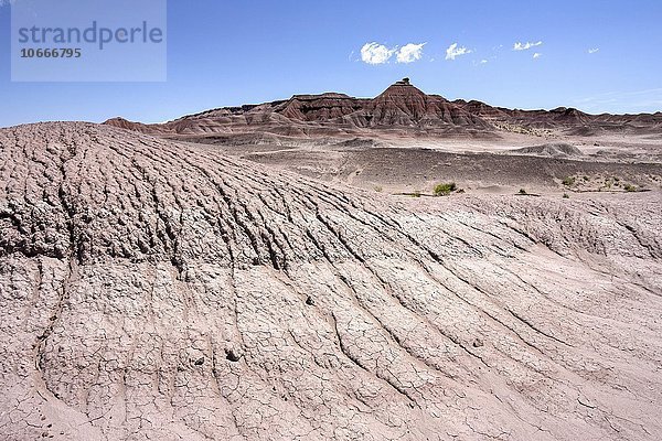 Felsen in karger Landschaft  Erosionslandschaft am U.S. Highway 89  bei Cameron  Arizona  USA  Nordamerika