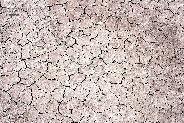 Vertrocknete Erde  Trockenrisse im Boden  getrocknete Lehmoberfläche  bei Cameron  Arizona  USA  Nordamerika