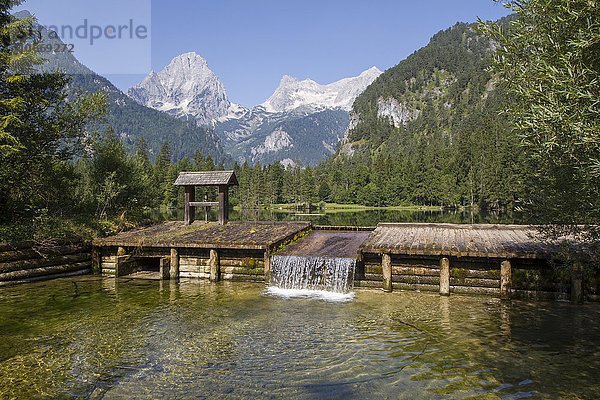 Schiederweiher  vor den Bergen Spitzmauer und Großer Priel  Hinterstoder  Totes Gebirge  Oberösterreich  Österreich  Europa