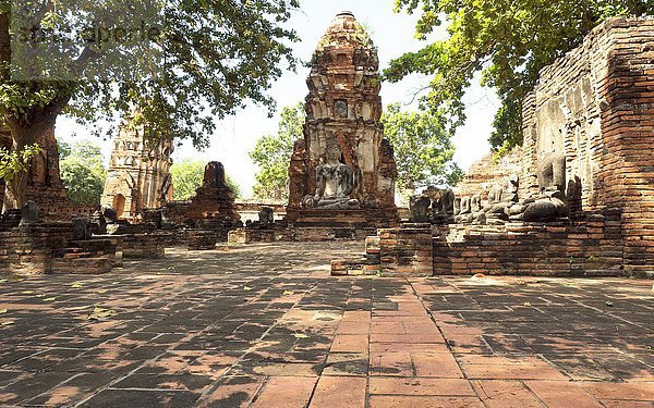 Verfallene Tempelanlage mit Buddhastatue  Wat Mahathat Sukhothai  Geschichtspark Sukhothai  UNESCO Weltkulturerbe  Mueang Kao  Provinz Sukhothai  Thailand  Asien