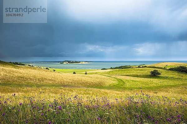 Graslandschaft mit Boddenblick  Gewitterstimmung Naturschutzgebiet Mönchgut  Halbinsel Mönchgut  Biosphärenreservat Süd-Ost Rügen  Rügen  Mecklenburg-Vorpommern  Deutschland  Europa