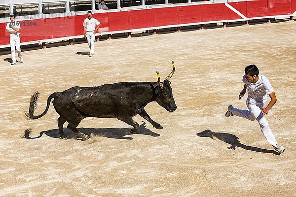 Ein Stierkämpfer versucht dem angreifenden Stier zu entkommen  Camarguestierkampf  Amphitheater  Arles  Provence-Alpes-Côte d'Azur  Frankreich  Europa