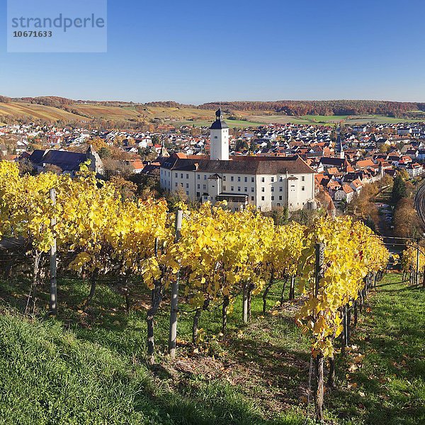 Schloss Horneck  Gundelsheim  Baden Württemberg  Deutschland  Europa