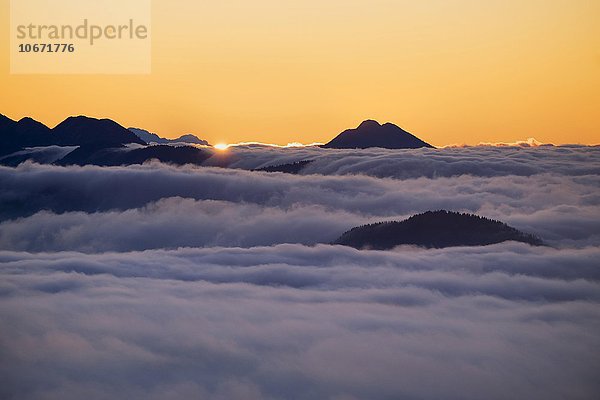 Sonnenaufgang am Jochberg über Wolkendecke  Bayerische Voralpen  Kochel  Oberbayern  Bayern  Deutschland  Europa