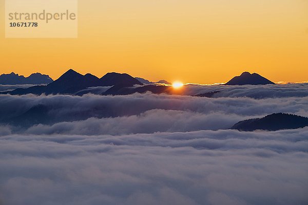 Sonnenaufgang am Jochberg über Wolkendecke  Bayerische Voralpen  Kochel  Oberbayern  Bayern  Deutschland  Europa