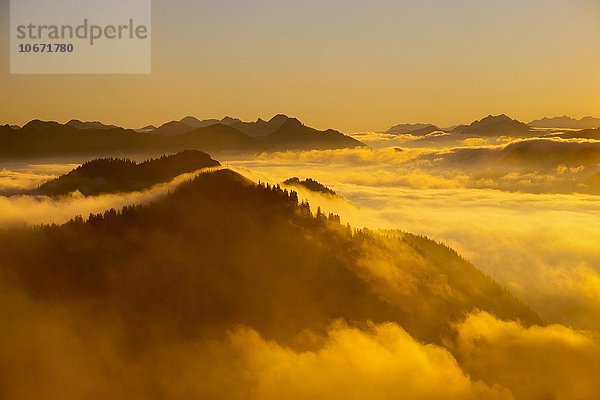 Sonnenaufgang am Jochberg über Wolkendecke  vorne Hirschhörnlkopf  Bayerische Voralpen  Kochel  Oberbayern  Bayern  Deutschland  Europa
