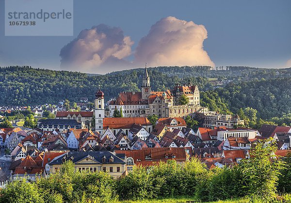 Schloss Sigmaringen und Altstadt von Sigmaringen  Oberschwaben  Schwaben  Baden-Württemberg  Deutschland  Europa